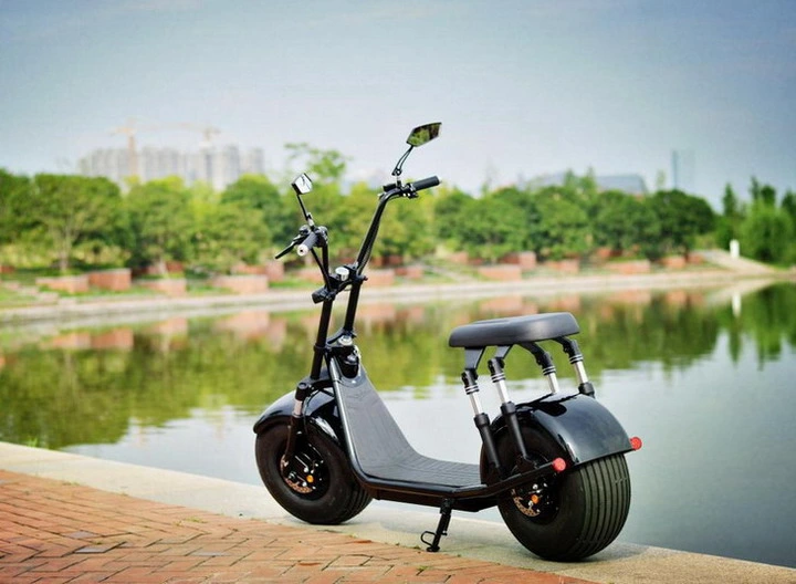 2023 EEC Motorcycle Citycoco Bike Fat Tire Adult City Coco Electric Scooter