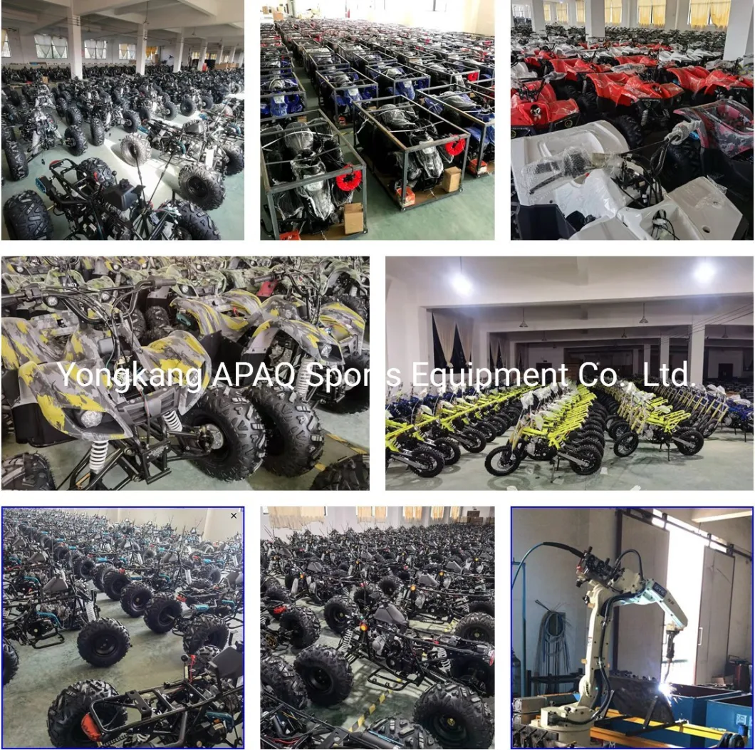 Apaq 300cc Motorcycle Dirt Bike on Road and off Road Gas Scooters for Sale
