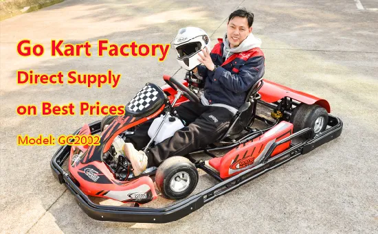 Factory Wholesale Electric Start Best Price Amusement Park Drift Adult Racing 200cc 250cc Gas Sport Kart Cart Dune Buggy Gokart Gobuggy Petrol Go Karts for Sale