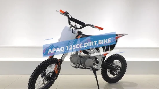 Apaq 300cc Motorcycle Dirt Bike on Road and off Road Gas Scooters for Sale