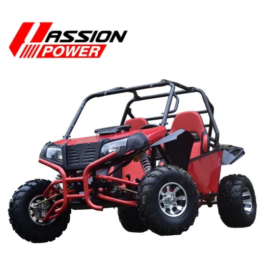 Gasoline 4 Stroke 150/200/300cc Racing Dune Buggy off Road Go Kart for Adults