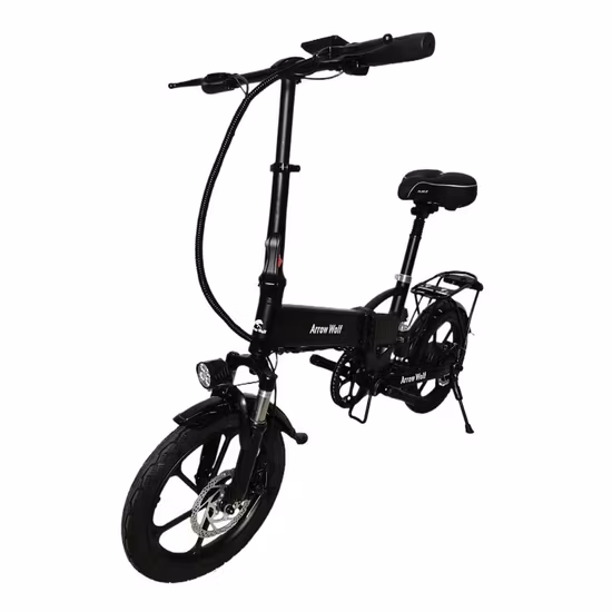 36V 350W Lithium Battery Sport Mountain Fat Tire Electric Cycle Retro Electrical Electronic Dirt Motor Bike