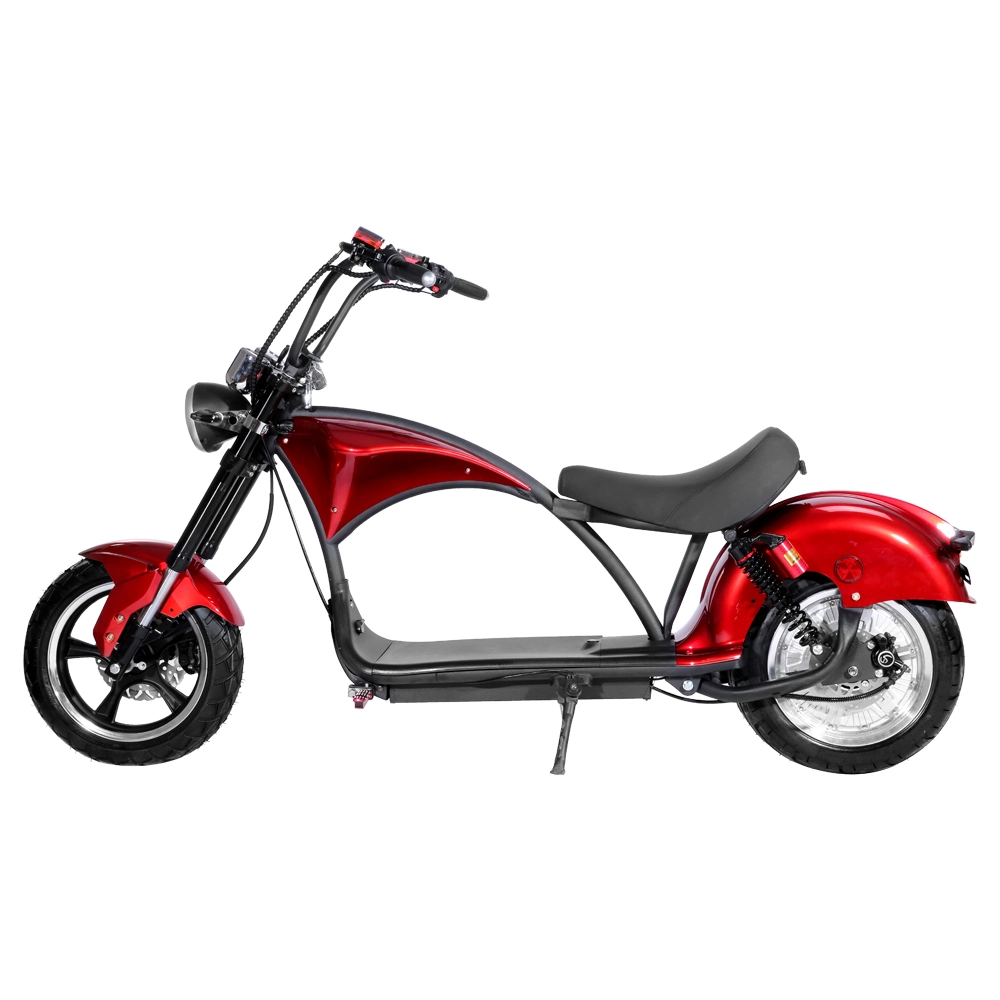 1000W City Coco Two Wheel Fat Wheel Offroad Scooter Electric
