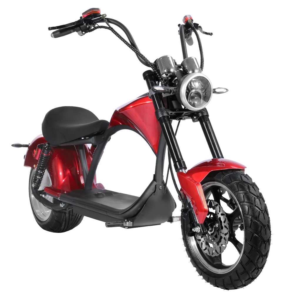 1000W City Coco Two Wheel Fat Wheel Offroad Scooter Electric