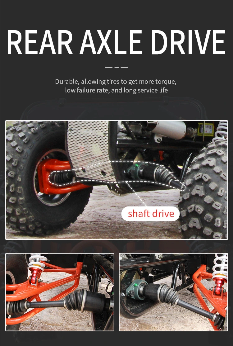 Gas Gasoline Powered 200cc Oil Cooling Frame Adult Buggy 2 Seater Petrol off Road Go Kart
