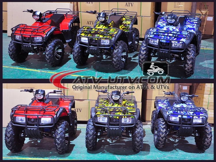 Factory Driect Selling 2000W 3000W 4000W Big Adult Electric ATV