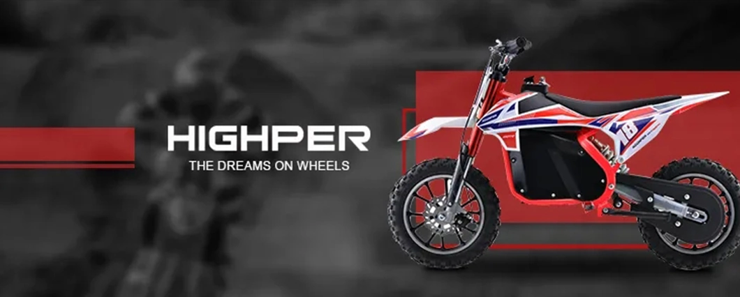 190cc 4stroke Gas Powered Adult Big Wheel Super Moto Cross Dirt Bike