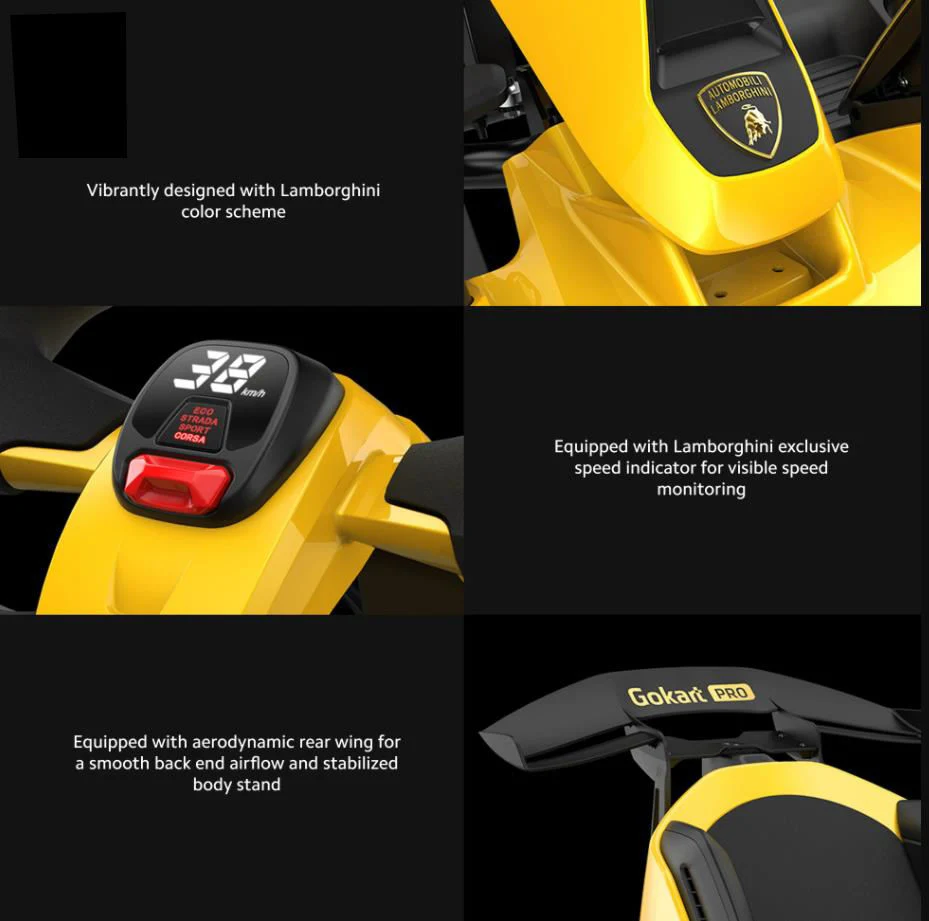 Ninebot Seg Way Xiaomi Lamborghini Gokart Karting Steering Cross Buggy Car Racing Adults off Road Go-Kart Electric Go Karts