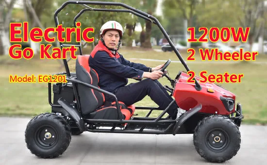China Supplier Cheap Selling 60V Electric Farm off Road Go Kart for Kids Adults with Best Prices