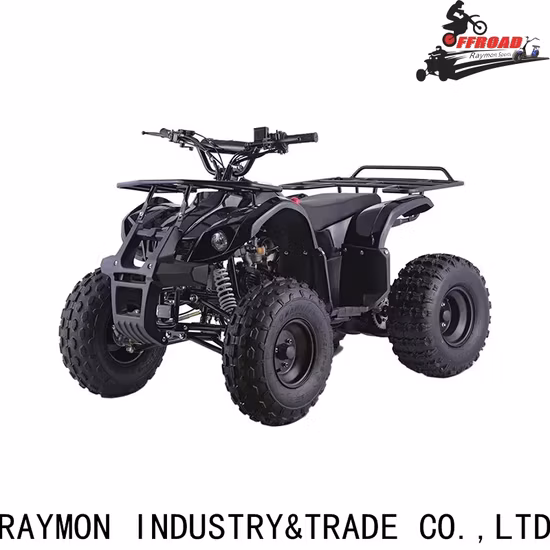 Hot Selling 800W Colorful 4 Wheel Electric Mini Electric ATV