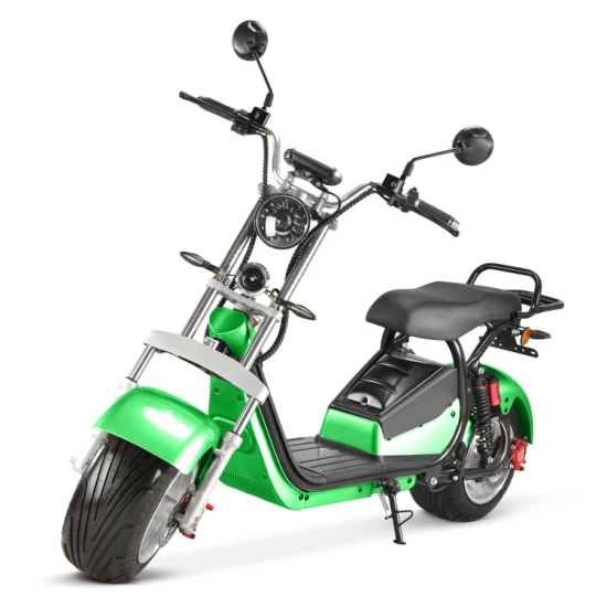 Fat Tire City Coco Electric Motorcycle Scooters Electric Bike E Scooter with EEC