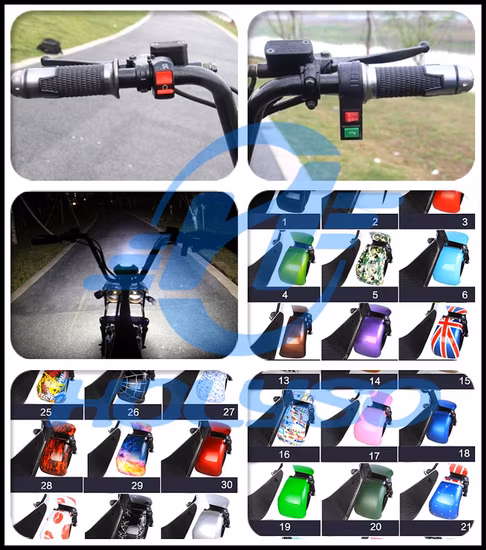 Fat Tire City Coco Electric Motorcycle Scooters Electric Bike E Scooter with EEC