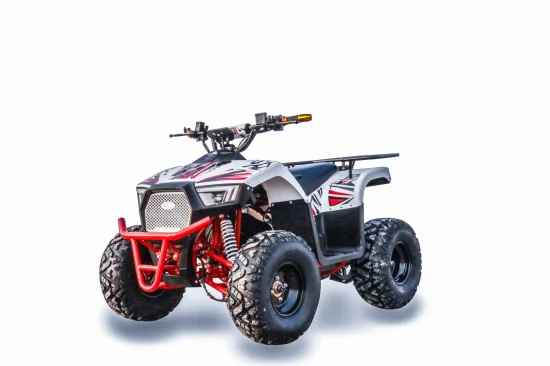 2022 60V 1000W Electric ATV Quad for Adults/Teenagers