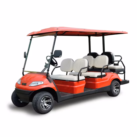 Sightseeing Car Electric Car Lvtong Brand off Road Supply 6 Seat Go Kart
