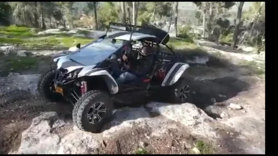 500cc 4X4 28kw Double Seats off Road Dune Buggy UTV Go Kart