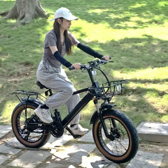 7/9/21 Speed with Derailleur Electirc Dirt Biike Electric Bicycle Electro Bikes E Bike Frame Moter Bike