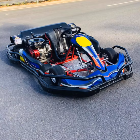 Competitive Kart Racing 200cc F1 Formula Drift Car Go Kart