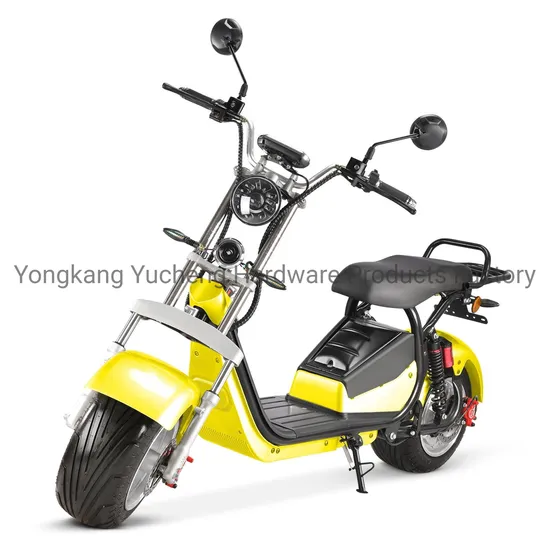 2023 EEC Motorcycle Citycoco Bike Fat Tire Adult City Coco Electric Scooter
